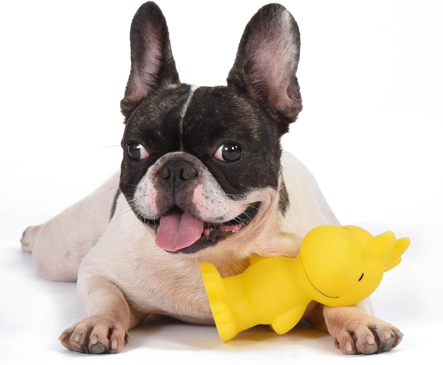 for Pets Charlie Brown Woodstock Vinyl Squeaker Dog Toy | Squeaky Dog Toy for All Dogs | Charlie Brown Plastic Dog Toys for Aggressive Chewers - Fun and Cute Yellow Dog Chew Toy, 5.5 Inch | Durable Vinyl Construction, Built-In Squeaker, Officially Licensed  Product, for Hours of Fun